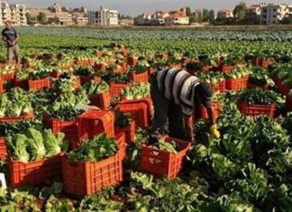 السودان يستورد صناعات غذائية مصرية بـ69 مليون دولار خلال 8 أشهر السودان يستورد صناعات غذائية مصرية بـ69 مليون دولار خلال 8 أشهر