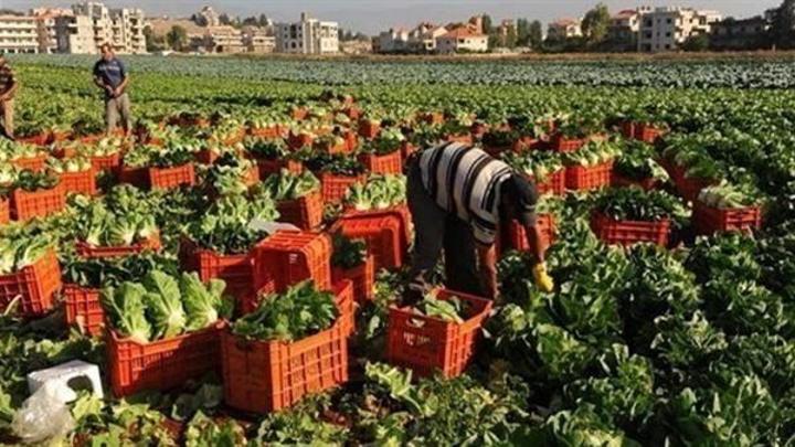 السودان يستورد صناعات غذائية مصرية بـ69 مليون دولار خلال 8 أشهر