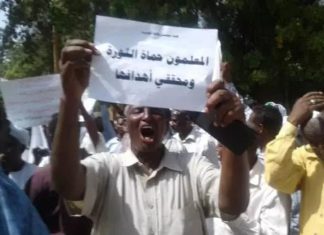 ارتفاع عدد المعلمين المعتقلين إلى 87 ..وكسر ساق معلمة ارتفاع عدد المعلمين المعتقلين إلى 87 ..وكسر ساق معلمة