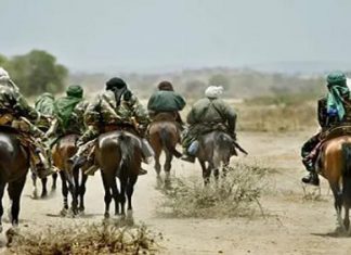 مسلحون يجبرون المئات على الفرار بشمال دارفور مسلحون يجبرون المئات على الفرار بشمال دارفور