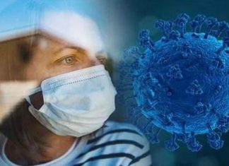 فيروس كورونا يتوغل إلى دماغ الإنسان ويأكل مادته الرمادية فيروس كورونا يتوغل إلى دماغ الإنسان ويأكل مادته الرمادية