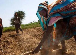 مقتل ثلاثة مزارعين رميا بالرصاص بشمال دارفور مقتل ثلاثة مزارعين رميا بالرصاص بشمال دارفور