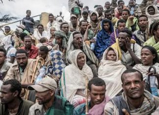 السودان وإثيوبيا يعرّيان دبلوماسية بايدن: كل الجزرات بلا عصا السودان وإثيوبيا يعرّيان دبلوماسية بايدن: كل الجزرات بلا عصا