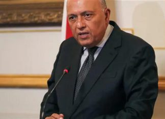 وزير الخارجية المصري: نركز على عدم التدخل بشؤون السودن الداخلية وزير الخارجية المصري: نركز على عدم التدخل بشؤون السودن الداخلية