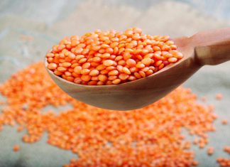 شكوك حول انتهاء صلاحيته .. تدفق كميات من العدس المستورد بأسعار زهيدة شكوك حول انتهاء صلاحيته .. تدفق كميات من العدس المستورد بأسعار زهيدة