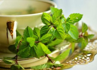 شاي يقلل من مخاطر الاكتئاب والقلق ويجعلك تنام سريعا شاي يقلل من مخاطر الاكتئاب والقلق ويجعلك تنام سريعا