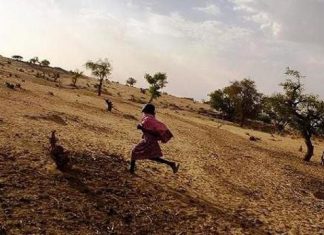 “6” قتلي رميا بالرصاص ونهب عربة بشمال دارفور “6” قتلي رميا بالرصاص ونهب عربة بشمال دارفور