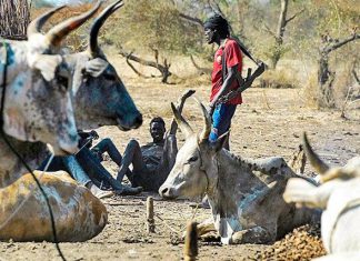جنوب السودان: مقتل “8” اشخاص وجرح “9” اخرين بولاية واراب جنوب السودان: مقتل “8” اشخاص وجرح “9” اخرين بولاية واراب