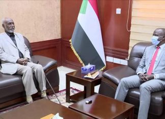 مجلس السيادة: لدينا خطة محكمة لاستعادة الأمن بدارفور مجلس السيادة: لدينا خطة محكمة لاستعادة الأمن بدارفور