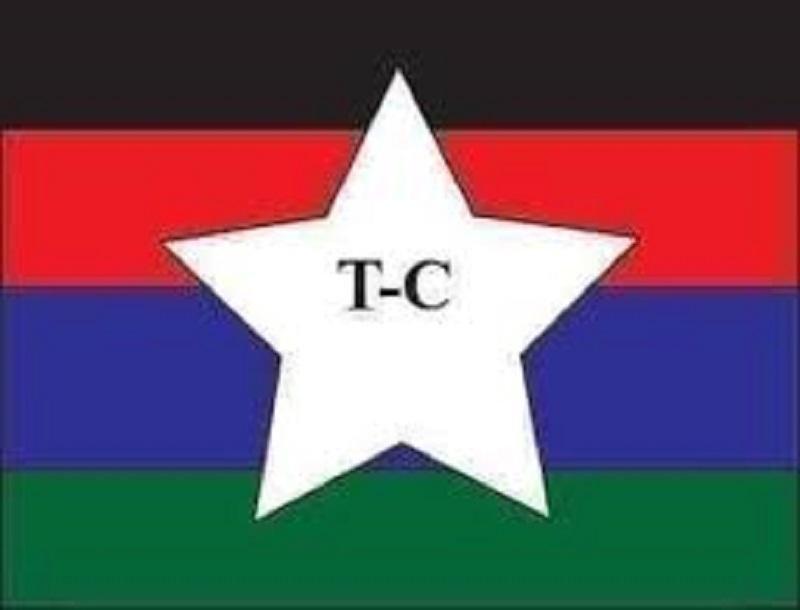 جيش تحرير السودان المجلس الانتقالي يدين نزيف الدم بدارفور جيش تحرير السودان المجلس الانتقالي يدين نزيف الدم بدارفور
