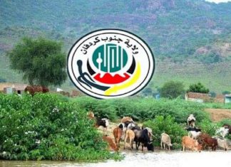 جنوب كردفان:قضايا المعاقين تتطلب المزيد من القرارات و التشريعات جنوب كردفان:قضايا المعاقين تتطلب المزيد من القرارات و التشريعات