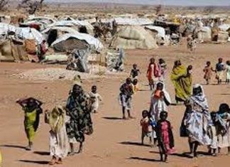 مسؤولة أممية تطالب الحكومة بحماية أفراد وأصول (يوناميد) مسؤولة أممية تطالب الحكومة بحماية أفراد وأصول (يوناميد)