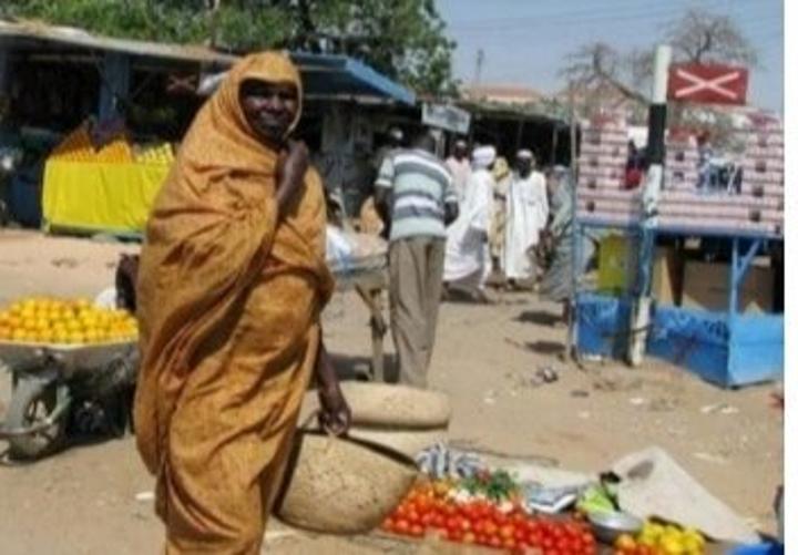 السودان: تعليق المساعدات يدفع نحو إلغاء الدعم السودان: تعليق المساعدات يدفع نحو إلغاء الدعم