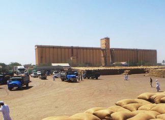 أسواق القضارف تستقبل الإنتاج الجديد لمحصولي زهرة الشمس وحب البطيخ أسواق القضارف تستقبل الإنتاج الجديد لمحصولي زهرة الشمس وحب البطيخ