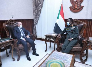 كباشي يلتقي الممثل الخاص للاتحاد الأفريقي لدى السودان كباشي يلتقي الممثل الخاص للاتحاد الأفريقي لدى السودان
