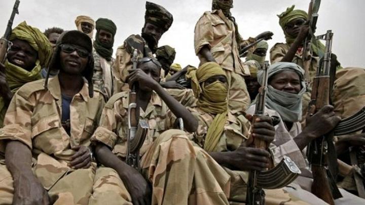 حركة تحرير السودان المجلس الانتقالي تنفي وجود قواتها بالخرطوم حركة تحرير السودان المجلس الانتقالي تنفي وجود قواتها بالخرطوم