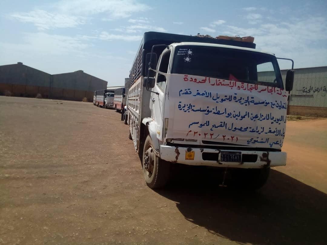مزارعو الجزيرة يتسلمون 8.768 جوال يوريا من موسسة الجزيرة للتمويل مزارعو الجزيرة يتسلمون 8.768 جوال يوريا من موسسة الجزيرة للتمويل