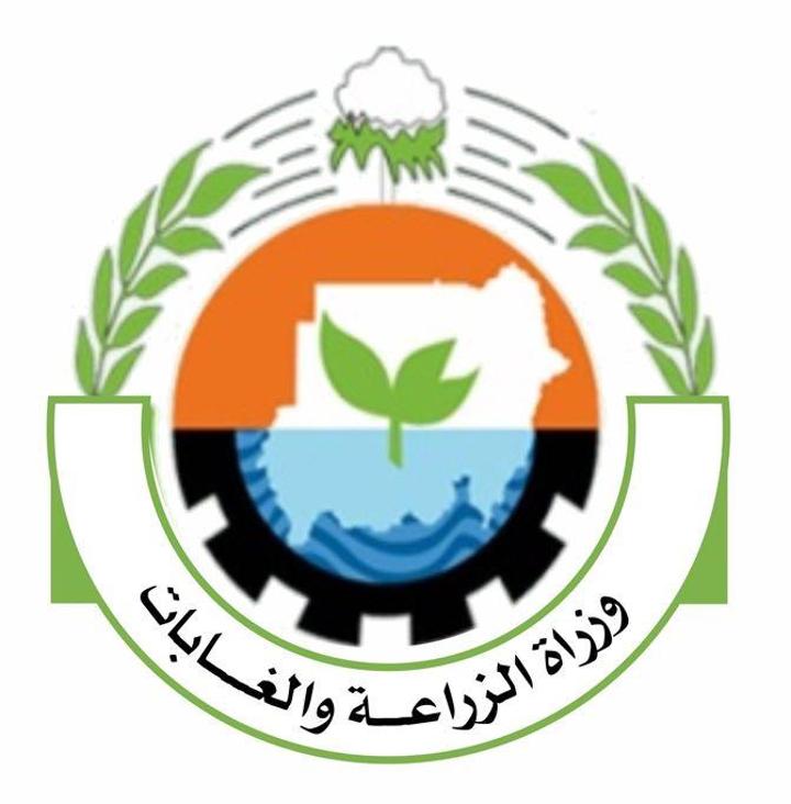 وزارة الزراعة تشرع في وضع سعر تأشيري للقمح وزارة الزراعة تشرع في وضع سعر تأشيري للقمح