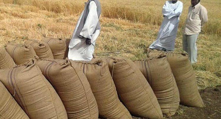 مطالبات بتحديد السعر التأشيري للقمح إلى (50) ألف مطالبات بتحديد السعر التأشيري للقمح إلى (50) ألف