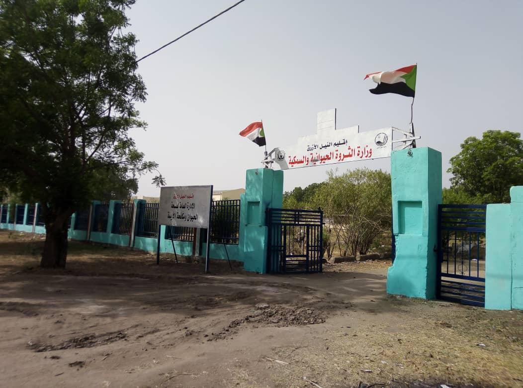 الثروة الحيوانية بالنيل الأزرق تعدد أبرز إنجازات العام 2021 الثروة الحيوانية بالنيل الأزرق تعدد أبرز إنجازات العام 2021
