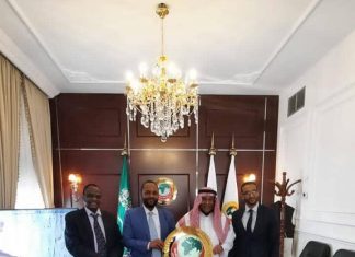 وزير الصحة الإتحادي يلتقي مدير صندوق التضامن الإسلامي بجدة وزير الصحة الإتحادي يلتقي مدير صندوق التضامن الإسلامي بجدة