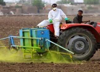 الحكومة تشرع في نزع أراضٍ زراعية من مستثمرين أجانب الحكومة تشرع في نزع أراضٍ زراعية من مستثمرين أجانب