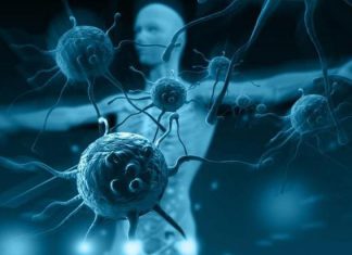 الأكل الصحي والنشاط الجسدي طريقك نحو مناعة قوية الأكل الصحي والنشاط الجسدي طريقك نحو مناعة قوية