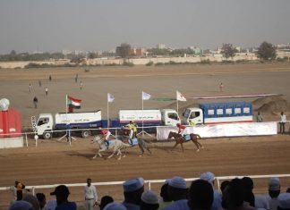 نادي سباق الخيل بالخرطوم ينظم بطولة كأس السودان نادي سباق الخيل بالخرطوم ينظم بطولة كأس السودان