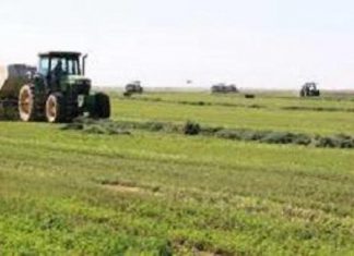 تطوير الصادرات الزراعية النباتية … المشاكل والحلول تطوير الصادرات الزراعية النباتية ... المشاكل والحلول