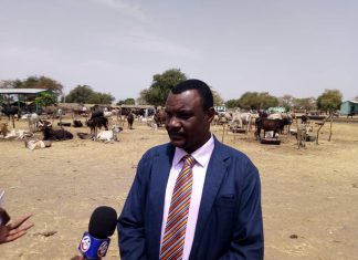 مدير الثروة الحيوانية بالنيل الأززق:نسعي لتطوير سوق صادر الماشية مدير الثروة الحيوانية بالنيل الأززق:نسعي لتطوير سوق صادر الماشية