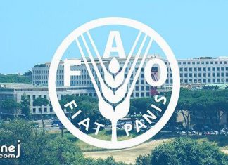 بعد الهجمات والنهب.. “الأغذية العالمي” يستأنف عملياته بشمال دارفور بعد الهجمات والنهب.. “الأغذية العالمي” يستأنف عملياته بشمال دارفور