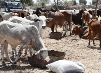 تنفيذ برنامج لرفع الوعي والاهتمام بالحيوان بالنيل الأزرق والابيض وسنار تنفيذ برنامج لرفع الوعي والاهتمام بالحيوان بالنيل الأزرق والابيض وسنار