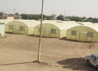 هيئة البحوث الزراعية تحتفل بيوم الحقل السنوي لمحطة ودمدني هيئة البحوث الزراعية تحتفل بيوم الحقل السنوي لمحطة ودمدني