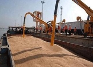 وصول 20 ألف طن قمح لميناء بورتسودان من روسيا وصول 20 ألف طن قمح لميناء بورتسودان من روسيا