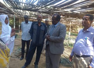 وزير الزراعة يؤكد سريان قرار تجميد استيراد البرتقال وزير الزراعة يؤكد سريان قرار تجميد استيراد البرتقال