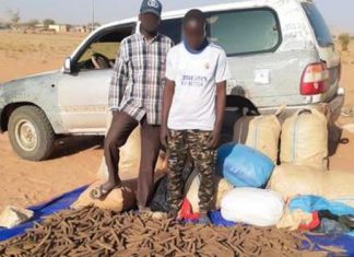 الدعم السريع يعلن القبض على”صالون مونيكا” الدعم السريع يعلن القبض على”صالون مونيكا”