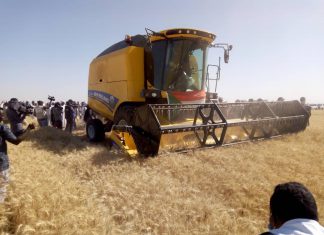 محافظ مشروع الجزيرة يدشن حصاد القمح بالقسم الشمالي محافظ مشروع الجزيرة يدشن حصاد القمح بالقسم الشمالي