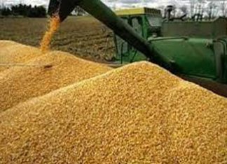 اختتام البرنامج التدريبي حول ضبط وتشغيل حاصدات القمح اختتام البرنامج التدريبي حول ضبط وتشغيل حاصدات القمح