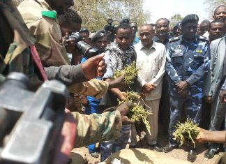 القضارف: احباط تهريب (18) جوال من المخدرات القضارف: احباط تهريب (18) جوال من المخدرات