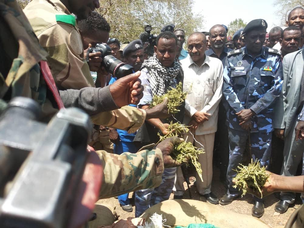 القضارف: احباط تهريب (18) جوال من المخدرات القضارف: احباط تهريب (18) جوال من المخدرات