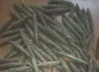 إقليم النيل الأزرق: تفكيك شبكة إجرامية إقليم النيل الأزرق: تفكيك شبكة إجرامية