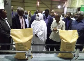 سلمي عبدالجبار: كنانة عرفت العالم بالسودان صناعيًا د. سلمي عبدالجبار: كنانة عرفت العالم بالسودان صناعيًا