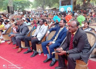 لوحة سودانية في فضاء مهرجان سوراج كوند بالهند لوحة سودانية في فضاء مهرجان سوراج كوند بالهند