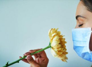 دراسة تكشف سبب فقدان حاسة الشم لدى المصابين بكورونا دراسة تكشف سبب فقدان حاسة الشم لدى المصابين بكورونا