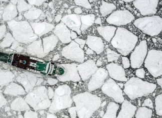 “الموت العظيم”… أسرار أكبر انقراض جماعي في تاريخ الأرض "الموت العظيم"... أسرار أكبر انقراض جماعي في تاريخ الأرض