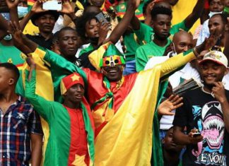 الكاميرون تصدم الجزائر بسيناريو درامي وتحجز مقعدها في كأس العالم الكاميرون تصدم الجزائر بسيناريو درامي وتحجز مقعدها في كأس العالم