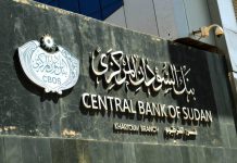 تدخل البنك المركزي .. هل سيوقف نزيف الدولار المتصاعد؟