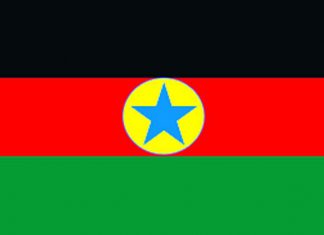 الثورية تشرع في تقديم مبادرتها للأطراف الدولية والإقليمية الثورية تشرع في تقديم مبادرتها للأطراف الدولية والإقليمية