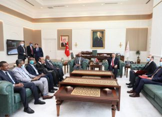 وزير الصحة الإتحادي يلتقي نظيره التركي وزير الصحة الإتحادي يلتقي نظيره التركي