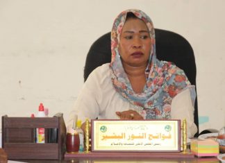 تطوير الأماكن الثقافية والمواقع الأثرية وحماية التراث بالنيل الازرق تطوير الأماكن الثقافية والمواقع الأثرية وحماية التراث بالنيل الازرق